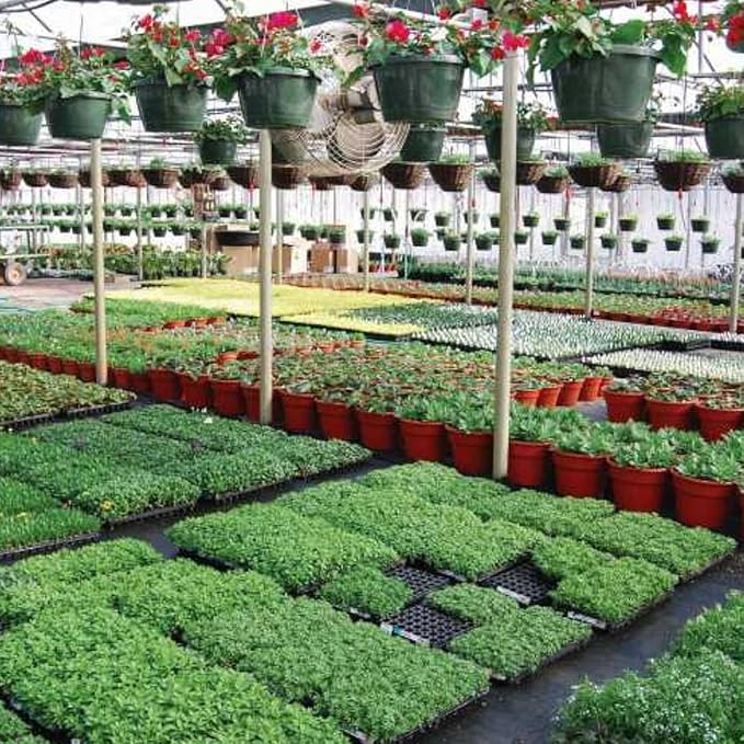 Farm Plastic Supply - Black & White Greenhouse Plastic Sheeting - 6 mil - (20' x 75') - 90% Reflective Green House Covering Film for Farming, Gardening, Agriculture