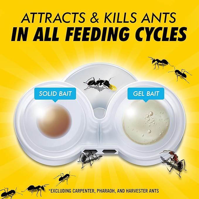 Combat Max 2 in 1 Ant Bait Station, 4 Count (Pack of 3)