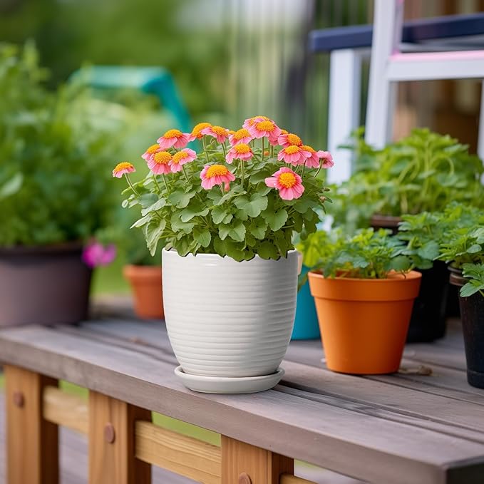 Ceramic Pots for Plants - 6 Inch Plant Pot with Drainage Hole and Saucer, Round Planters for Indoor Outdoor, Flower Pots, Modern Planter, Home Office Room Decor, Gifts for Plant Lovers, White