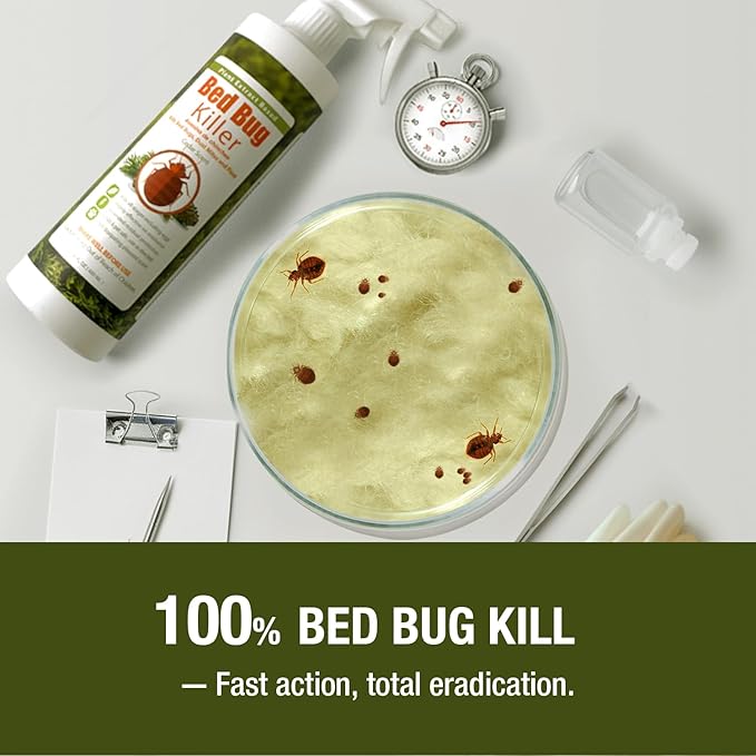 EcoRaider Bed Bug Killer Spray 1 Gallon Jug, Green + Non-Toxic, 100% Kill + Extended Protection