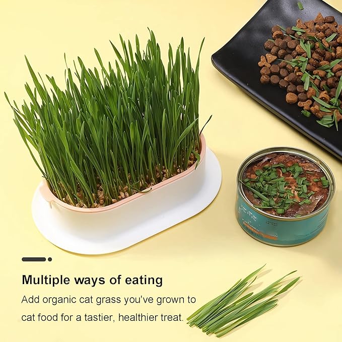 2Pcs Cat Grass Planter (No Seeds Included) Wheatgrass Planting Trays Hydroponic Cat Grass Growing Kits for Indoor Cats Soilless Organic Nursery Box Pet Grass Pot (B)