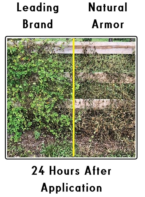 Natural Armor Weed and Grass Killer All-Natural Concentrated Formula. Contains No Glyphosate (128 OZ. Gallon)
