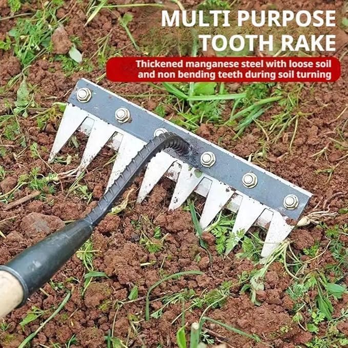 Gardenia Iron Weeding Rake, 2025 Gardenia Iron Weeding rake, Ironrake The Heavy-Duty Irons Weedings Rakes,Irons Rakes for Gardening and Weedings (5 Teeth) (6 Teeth)