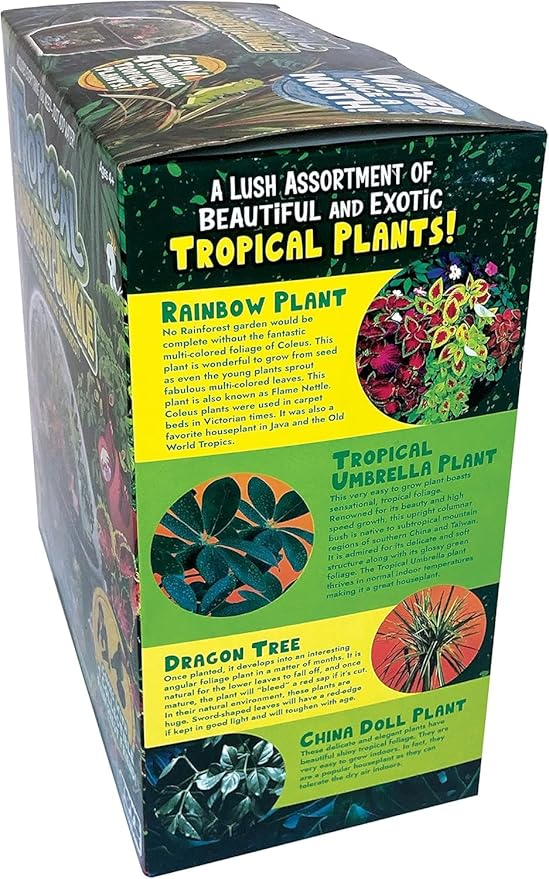 Toys by Biosphere Terrarium Starter Kit with Complete Supplies to Create Your Own Jungle! Indoor Plants for Home Displays and Gardens (Tropical Rainforest Jungle)