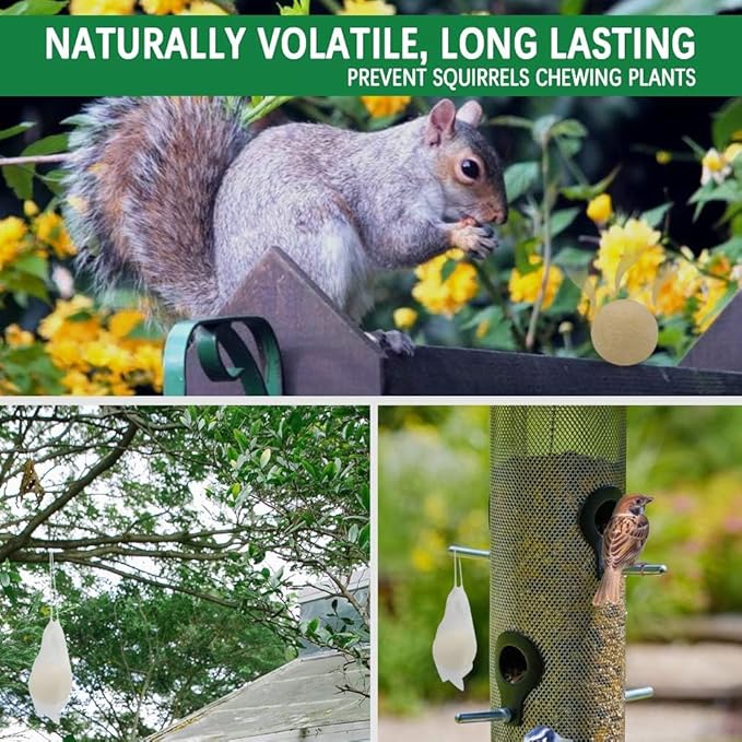 Squirrel Repellent Outdoor, Chipmunk Repellent for Attic/Garden/Bird Feeders/Plants/Cars, Deterrent Squirrels, Keep Chipmunks Away-4P