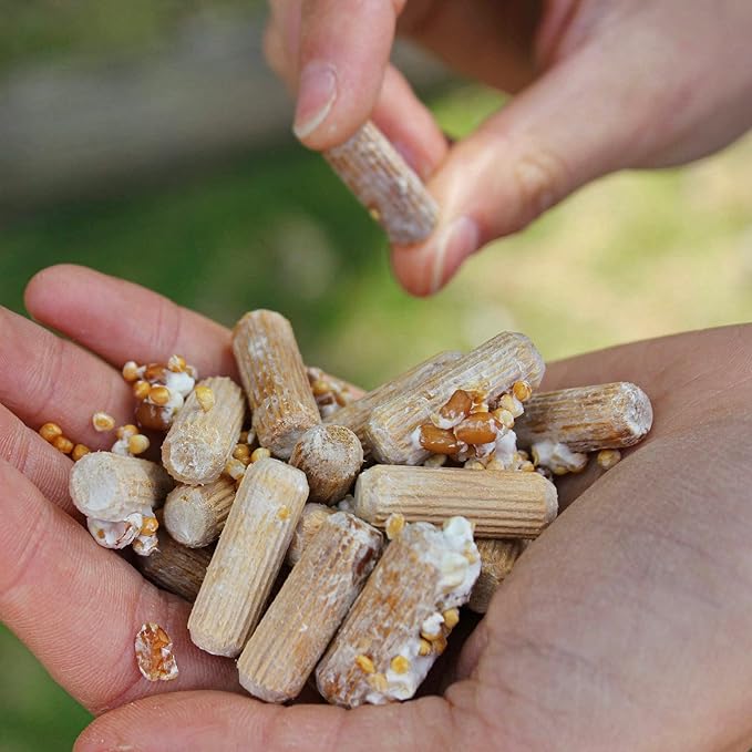 North Spore Organic Chestnut (100 ct) Mushroom Plugs for Logs | Premium Quality Mushroom Plug Spawn | Handmade in Maine, USA | Grow Gourmet Mushrooms Outdoors on Logs | Pholiota adiposa