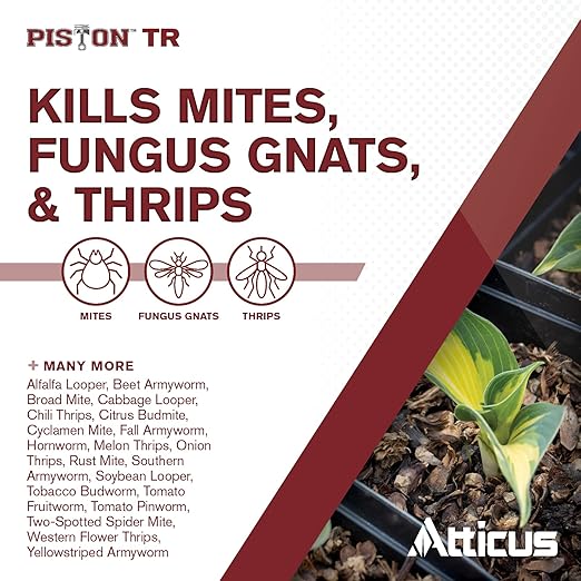 Atticus Piston TR Greenhouse Fogger (2oz Can) - (Compare to Pylon) - Total Release Chlorfenapyr Insecticide/Miticide - Controls Mites, Thrips, Caterpillars, and Adult Fungus Gnats