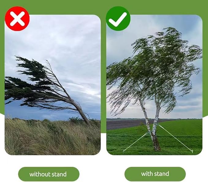 Heavy Duty Steel Tree Stake Kits Tree Stakes and Supports for Leaning Trees Tree Staking and Support Kits for Young Tree Against Bad Weather (2, 12 in)