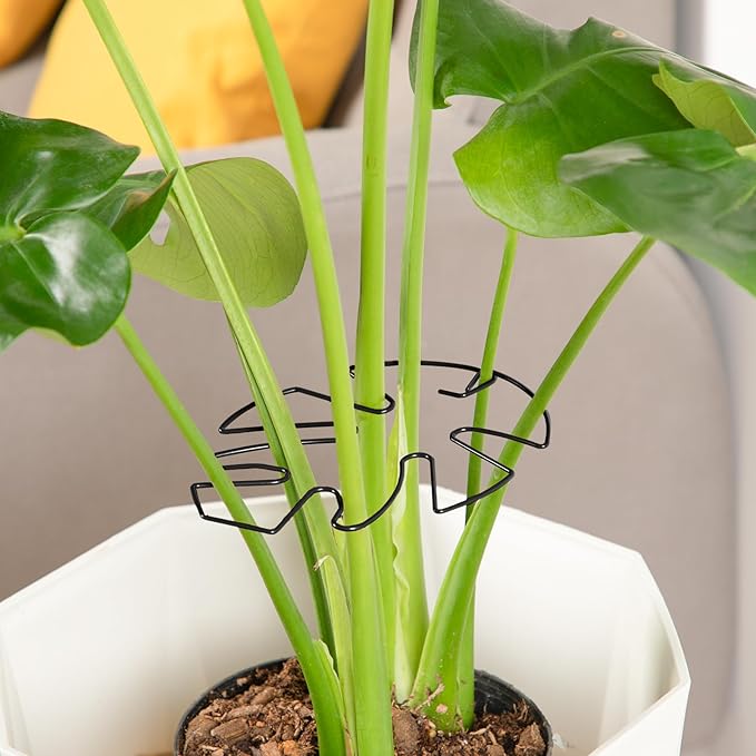 10PCS Iron Monstera Plant Support, Uniquely Designed Indoor Plant Accessories, Stable Plant Support Stakes for Indoor Plant, Turtle Shell Bamboo Clamp Set for Thriving Growth