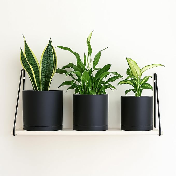 D'vine Dev 6 Inch 6.5 Inch 8 Inch, Set of 3 Plastic Planter Pots for Plants with Drainage Hole and Seamless Saucers, Black Color, Medium, 74-V-B-3
