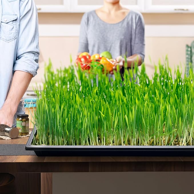 Growing Trays, 1020 Plant Nursery Trays Heavy Duty Seed Starter Flat Seedling Tray for 72/128 Cell Plug Tray Transplant Growing Microgreens (21"×11", 10 Pack, 1.6" Deep, Without Holes)