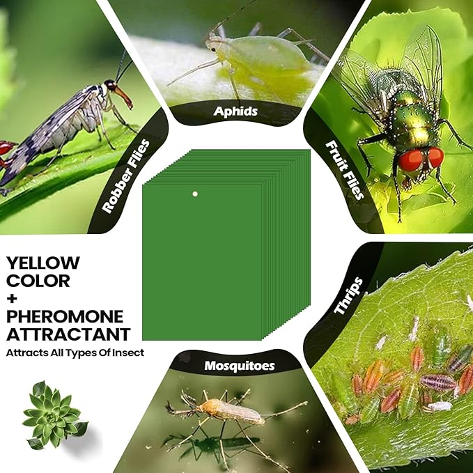 Qualirey 100 Pcs 6 x 8 Inch Sticky Traps for Plant Double Sided Sticky Trap for Gnats with Twist Ties Fly Traps for Fruit Insect Fungus Bugs Indoor Outdoor (Green)