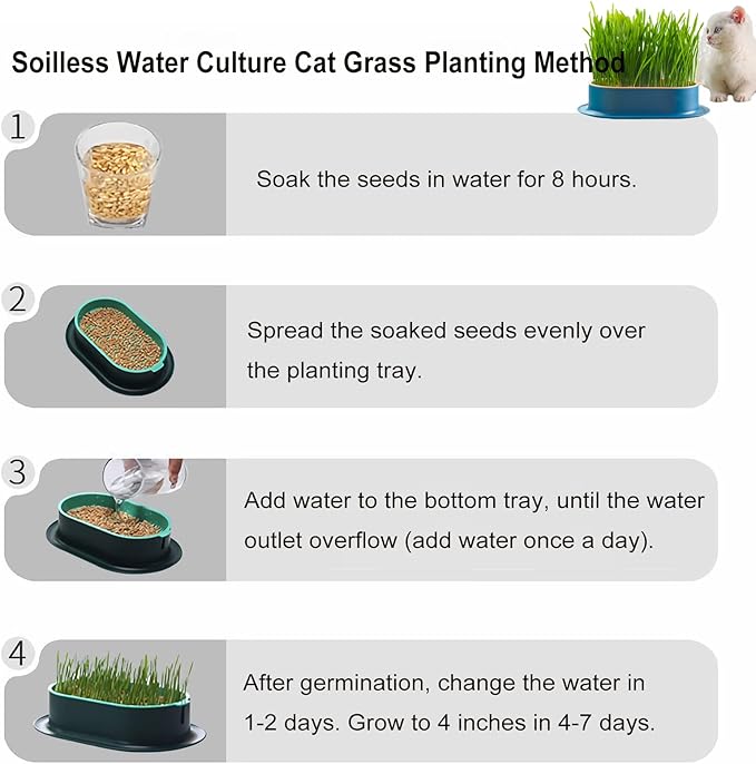3Pcs Cat Grass Planter (No Seeds Included) Wheatgrass Planting Trays Hydroponic Cat Grass Growing Kits for Indoor Cats Soilless Organic Nursery Box Pet Grass Pot (I)