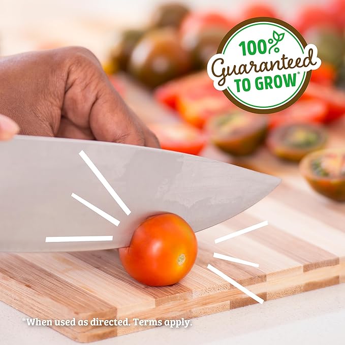 Back to the Roots Cherry Tomato Organic Windowsill Planter Kit - Grows Year Round, Includes Everything Needed For Planting