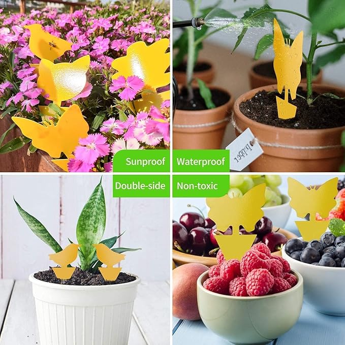 64 Pcs Sticky Trapz for gnat, Yellow Stick Traps for Plants, Fungus gnat Traps Double Side with Shovel, Indoor Safe for Gnat, Fruit Fly, White Fly, Aphid, Leaf Miner