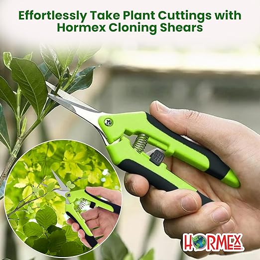 Hormex Rooting Powder #1, Rooting Cubes & Shears Combo - Rooting Hormone for Delicate Softwood Cuttings | Root Starter Cubes for Home & Garden Plants | Precision Straight-Blade Shears (50 Grow Plugs)