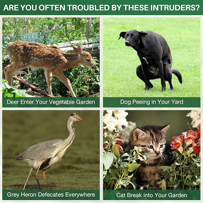 Animal Repellent Outdoor,Solar Pest Animal Repellent Outdoor,Squirrel Repellent,Racoon Repeller,Effective Deer Repellent Devices with Motion Sensor & Flashing Light for Yard Garden(2 Pcs)