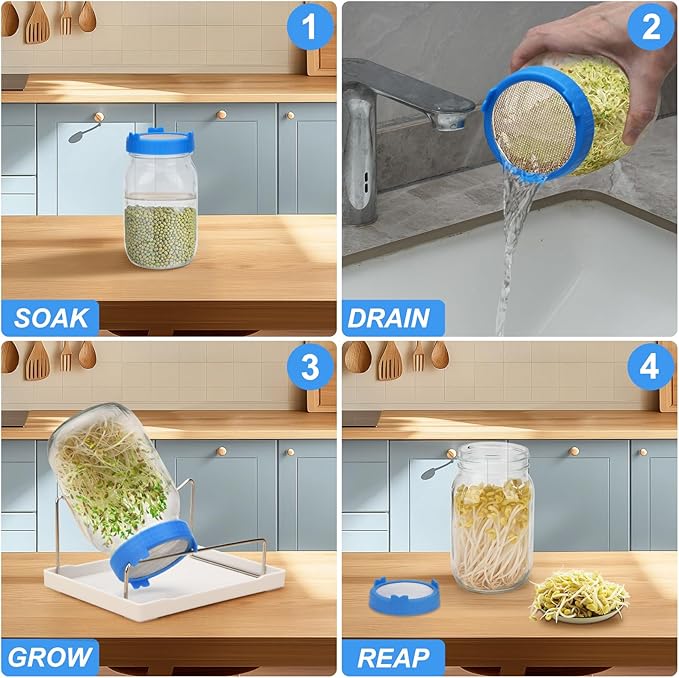 Lulonpon Sprouting Kit, 4 Sprouting Jar Kits, Wide Mouth Quart Mason Jars with Stainless Steel Screen Sprout Lids,1000ml Sprouts Growing Kit, Seed Sprouter Set for Growing Broccoli, Bean, Alfalfa 