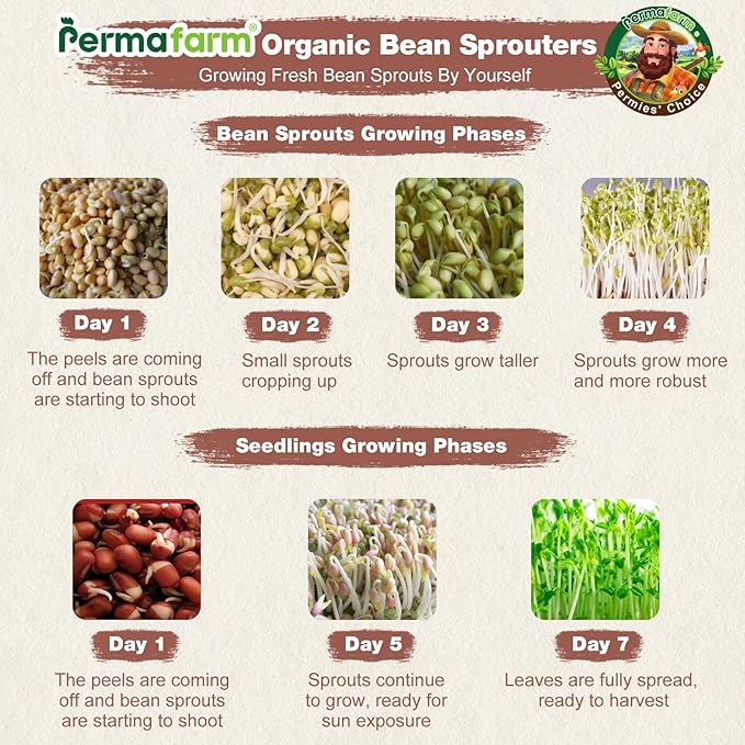 Permafarmยฎ Organic Bean Sprouter, Natural Earthen-Clay Mung Bean Sprouter, Sprouts Growing Kit for Soybeans, Broccoli, Alfalfa & More | Lead-Free, Cadmium-Free (Small Size for Individuals or Couples)