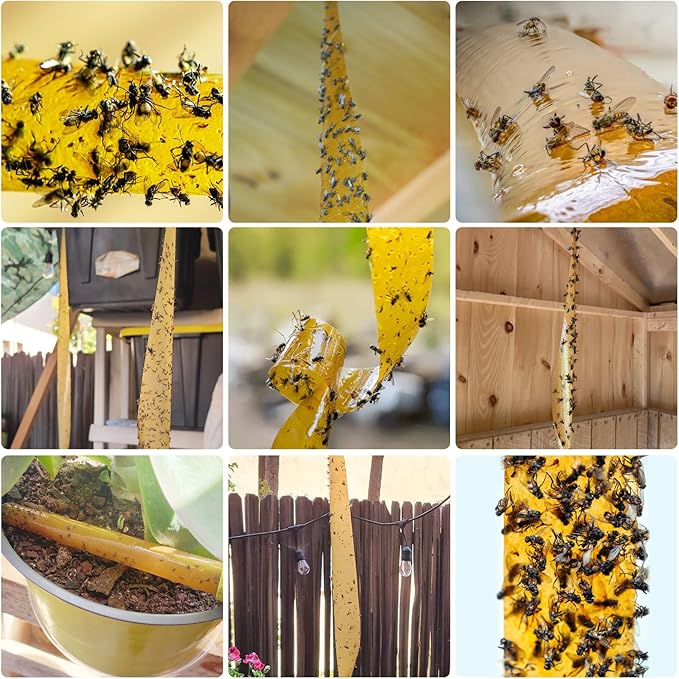 24 Pack Fly Strips Ribbon Sticky Indoor Outdoor Hanging, Fruit Fly Traps Outdoor Fly Paper Indoor, Gnat Flies Tape Catcher for Home