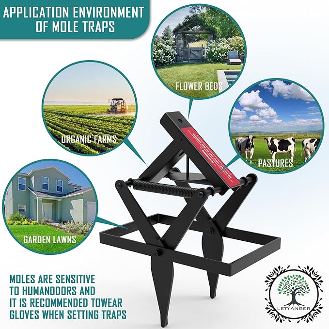 Mole Traps, Black Galvanized Steel Scissor Trap, Reusable Gopher Traps, Mole Killer, Ground Moles Trap for Lawns, 2025 Style (4 Pack)
