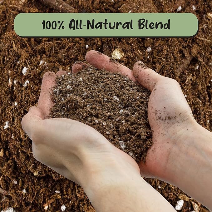 Olive Tree Potting Soil Mix (8 Quarts), for Planting, Repotting, and Growing Olive Bushes/Plants