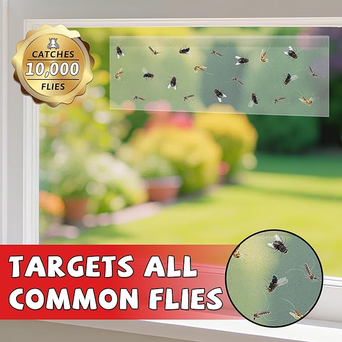 LULUCATCH Window Fly Traps, 36 Pack Fruit Fly Traps for Indoors, Gnat Traps Bug Catcher, Non-Toxic Flying Insect Trap, Sticky Traps for Mosquito, Moth, Pet Safe Pest Control for Home Kitchen