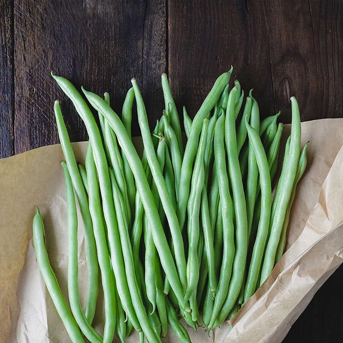 Blue Lake Bush Bean 274 Seeds - 30 Gram Packet - Non-GMO, Heirloom, Open Pollinated - Vegetable Garden Seeds - Green String Beans
