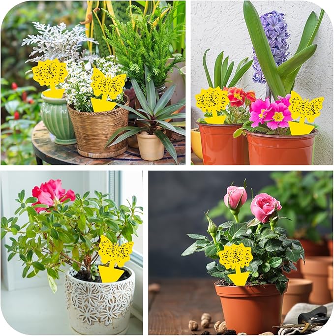 Fruit Fly Traps, 100 Pack Yellow Sticky Traps, Fungus Gnat Traps, Plant Fly Stickers for Indoor and Outdoor Use Protect The Plant