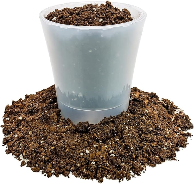 Money Tree Potting Soil Mix for Planting or Repotting Guiana Chestnut, Soil Blended to Properly Grow Money Tree Plants (4 Quart Bag)