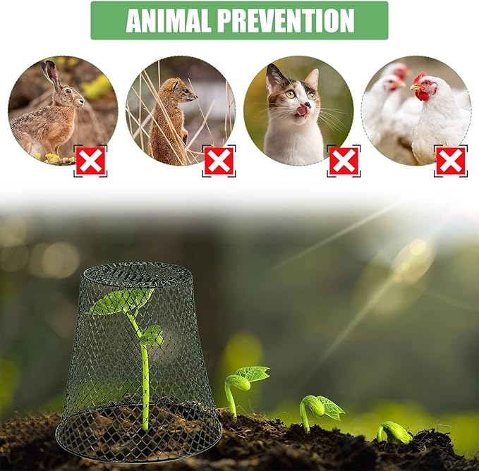 10 Pcs Garden Chicken Wire Plant Covers, 11x11Inch Metal Wire Garden Cloches Chicken Wire Cloche Plant Protector Heavy Duty Garden Plant Cloche for Keeping Bunnies Chicken Squirrels Birds Other Out
