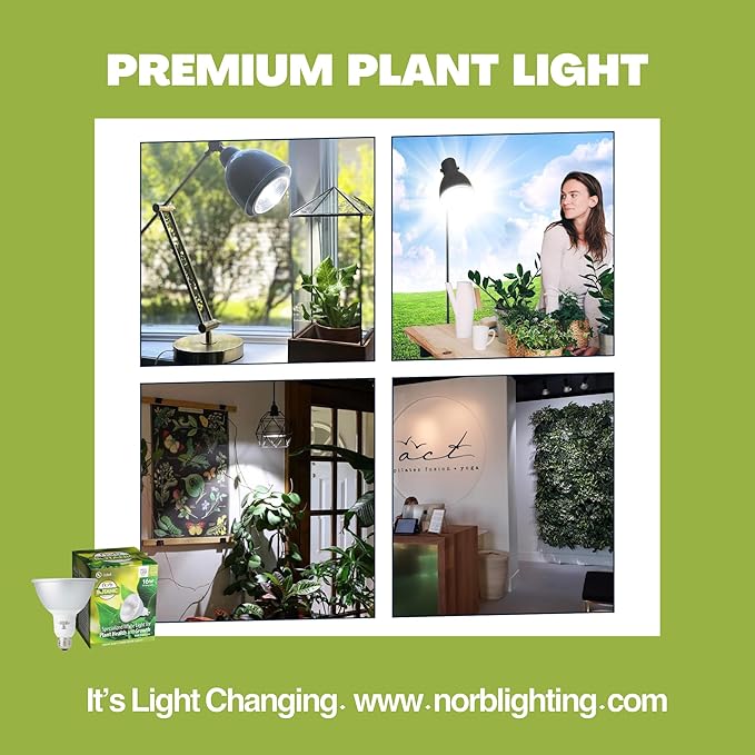 NorbBOTANIC Plant Light. Premium Indoor Grow Light with Full Spectrum Light. LED Light Bulb Mimics Sun with Powerful 1350 Lumens. “Grow Right Under White” Better than Purple Grow Lights. 16W 15 Degree