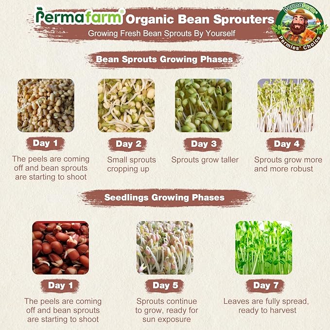 Permafarmยฎ Organic Bean Sprouter, Natural Earthen-Clay Mung Bean Sprouter, Sprouts Growing Kit for Soybeans, Broccoli, Alfalfa & More | Lead-Free, Cadmium-Free (Large Size for Family)