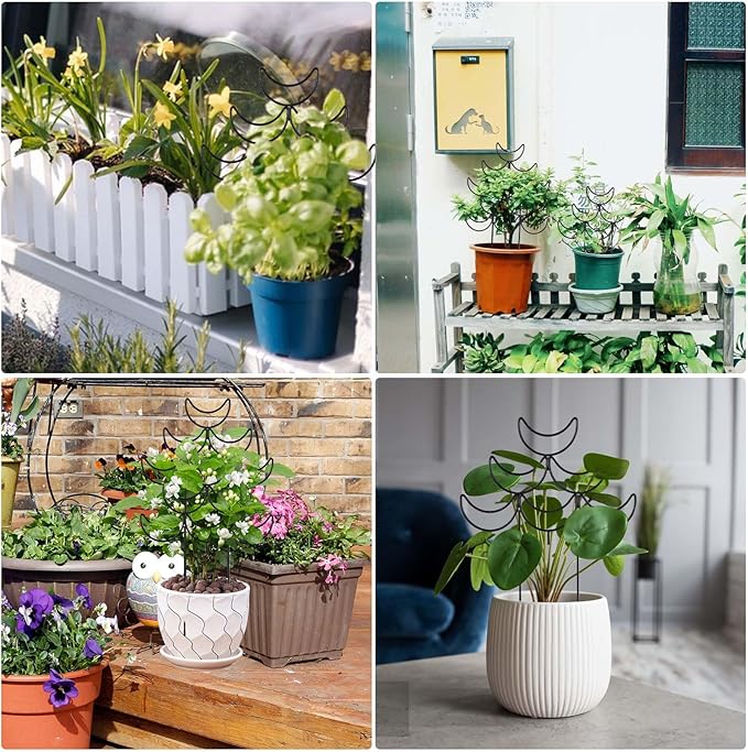 4 Pack Metal Plant Trellis for Climbing Plants Outdoor/Indoor - Sturdy Garden Trellis for Potted Plants, Rustproof Plant Suppor Stakes for Vine Ivy Pothos Monstera Hoya Flowers