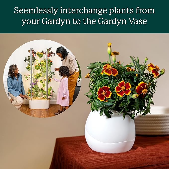 GARDYN Vase Complete Kit-Cauliflower White | Designed for use Hydroponics Growing System Kits & Vertical Garden Hydroponic Gardens | Bring Indoor Plants to All Areas of Your Home