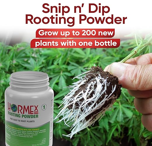 Hormex Rooting Powder #1, Rooting Cubes & Shears Combo - Rooting Hormone for Delicate Softwood Cuttings | Root Starter Cubes for Home & Garden Plants | Precision Straight-Blade Shears (50 Grow Plugs)