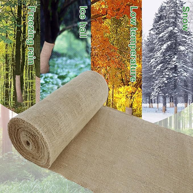 Agfabric Burlap Tree Wrap, 31''x50ft Natural Burlap Fabric Roll for Winter Tree Trunk and Outdoor Plants, Tree Trunk Guards Protect Bark, 100% Jute Plants Bandage for Keeping Warm and Moisturizing
