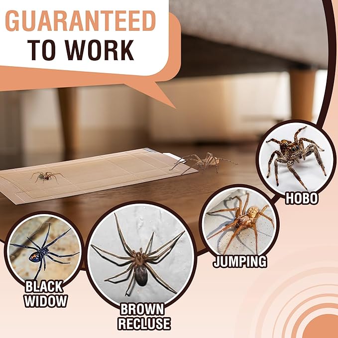Qualirey 18 Pack Spider Traps Indoor for Brown Recluse Spiders, Extra Sticky Large Insect Glue Boards for Black Widows, Sac, Wolf and Other Crawling Bugs Inside Home