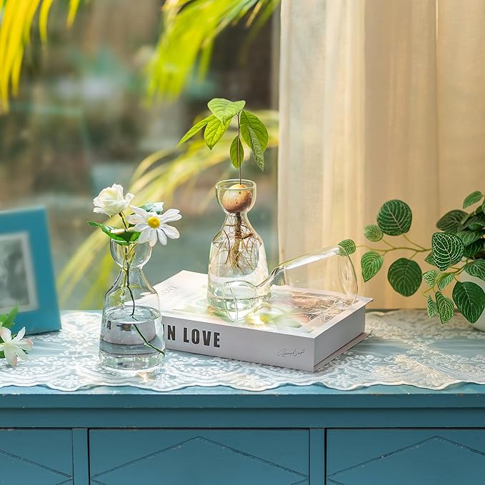 Glasseam Avocado Glass Vase, Handmade Bud Vases Set of 12, Cute Acorn Bulb Small Vase, Clear Flower Vases for Centerpieces, Hydroponic Propagation Plant Vase for Flowers Living Room Dining Table Decor