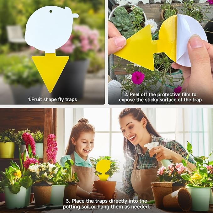 Fruit Fly & Fungus Gnat Traps 40 Pack – Yellow Sticky Gnat Traps for House Indoor & Outdoor Plants, Non-Toxic and Odorless Insect Bug Catcher