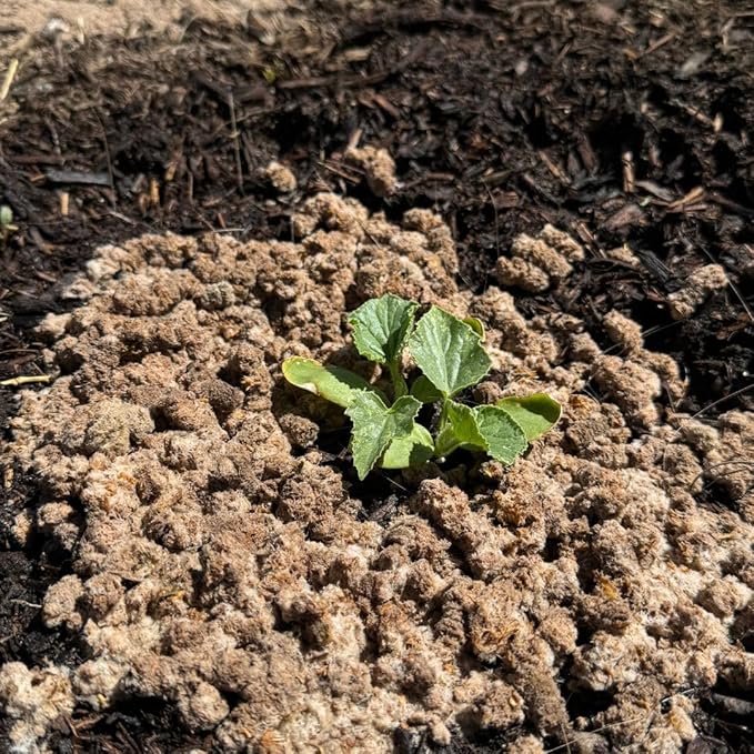 Natural Soil Amendment for Outdoor Gardens, Raised Beds & Indoor Plants - Organic Soil Additive Fertilizer for Plant Growth and Moisture Retention 10 Lbs