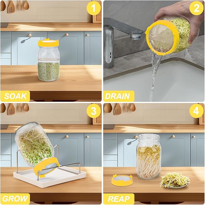 Lulonpon Sprouting Kit, 2 Sprouting Jar Kits, Wide Mouth Quart Mason Jars with Stainless Steel Screen Sprout Lids,1000ml Sprouts Growing Kit, Seed Sprouter Set for Growing Broccoli, Bean, Alfalfa