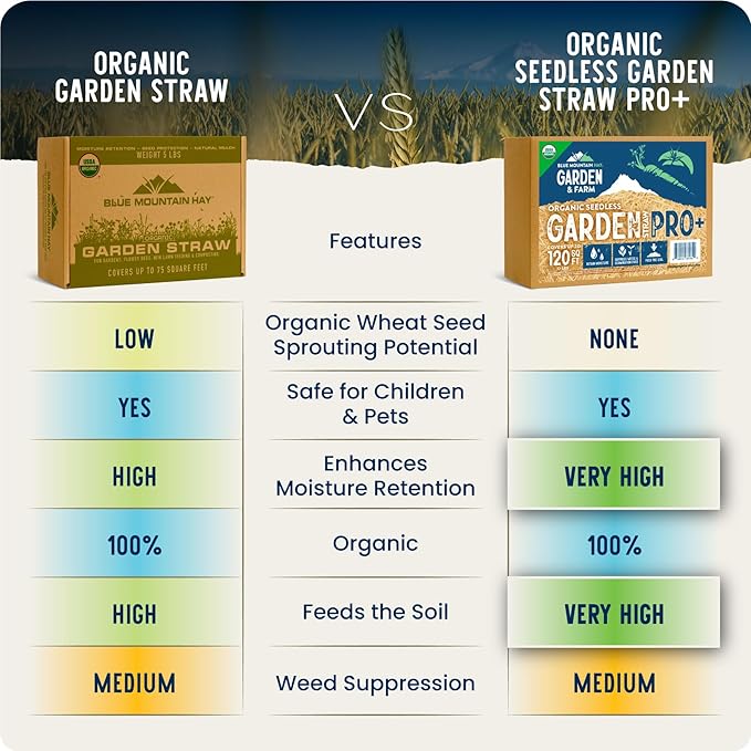 Blue Mountain Hay | Organic Garden Straw (25 lb) | Natural Mulch for Gardening, Flower Beds, Yard Landscaping, New Lawn Grass Seeding, Composting | Covers up to 375 sq ft