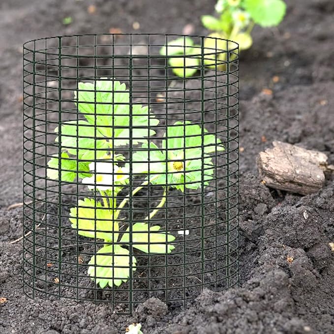 20 Pack 12" H X 4" D Wire Small Plant Protector from Animals, 20 Pcs Small Metal Plant Cage Chicken Wire Cloche with Ground Stakes and Nylon Tie to Keep Animals Out Garden Protection