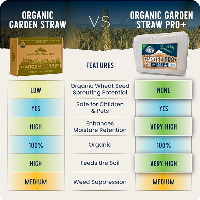 Blue Mountain Hay | Organic Garden Straw (5 lb) | Natural Mulch for Gardening, Flower Beds, Yard Landscaping, New Lawn Grass Seeding, Composting | Covers up to 75 sq ft
