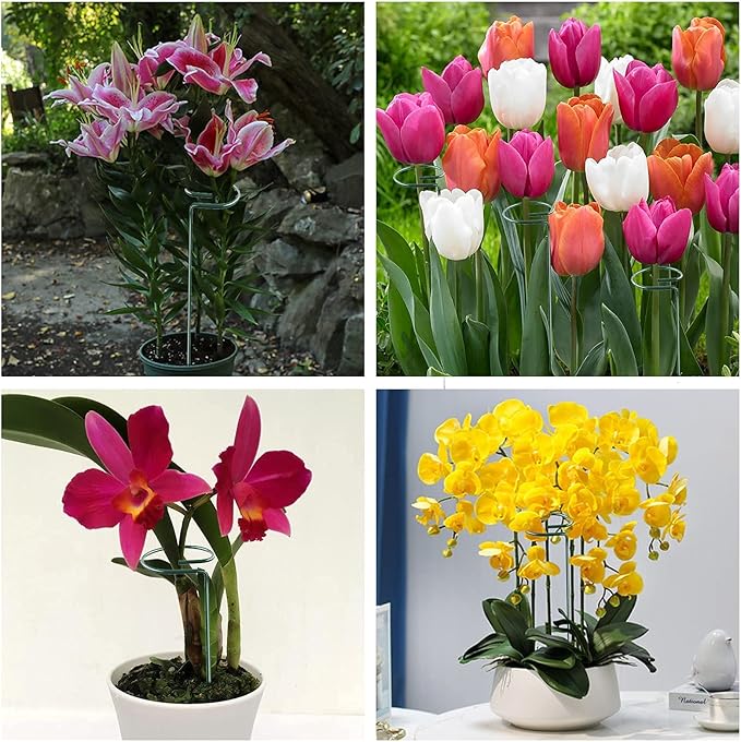 Joyhalo 12 Pack Plant Stakes, 16 Inch Plant Support Stakes, Plant Sticks Support with 24 Twist Ties, Flower Stakes for Plants Peony, Amaryllis, Marigold, Coreopsis, Tomato Seedling, Sapling Etc
