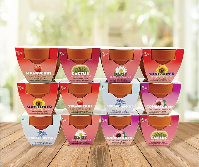BUZZY Seeds Terracotta Mini Grow Pots | Herb, Plant, Flower Starter Kit for Kids & Adults | Assorted 12-Pack, Classic Collection | Guaranteed to Grow | Best Indoor-Outdoor Gardening Gift