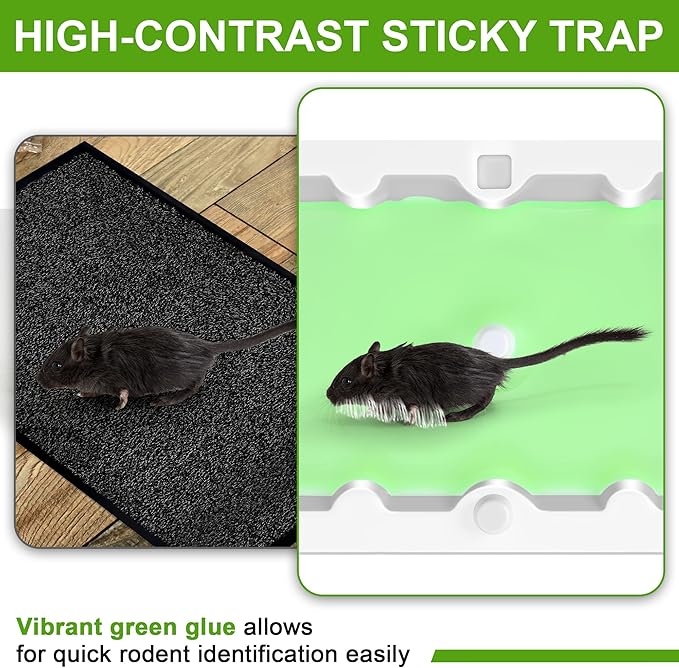 Qualirey 12 Pack Mouse Glue Trap, Super Sticky Traps Mouse Size for Mice and Rats, Pre-Scented, Non Toxic Mice Glue Boards, Rodent Sticky Pads Indoor for Home, Easy to Use, Pet Safe Pest Control