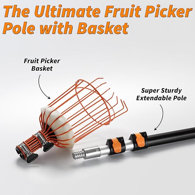 Fruit Picker Pole with Basket Telescoping 5-30 ft Apple Picker Extension Pole // Telescopic Fruit Tree Picker Tool for Picking Orange Mango Avocado Lemon Pear // The Ultimate High-Reach Fruit Grabber