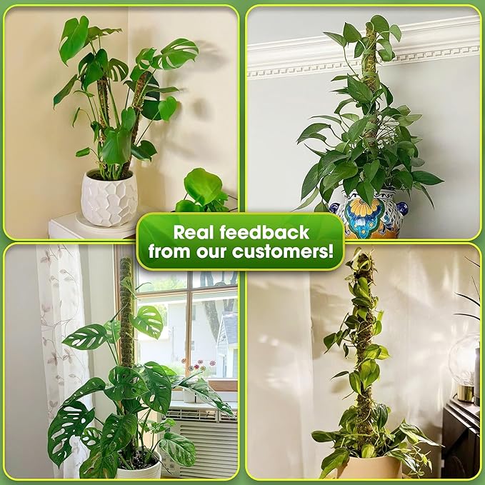 DUSPRO 52'' Forest Moss Pole for Plants, Forest Tall Moss Poles for Climbing Plants Monstera, Sphagnum Moss Stick for Monstera Plant Support, Handmade Plant Stakes for Indoor Plants Grow Upwards